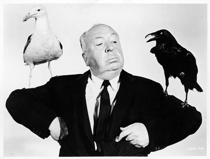 hitchcock_pajaros