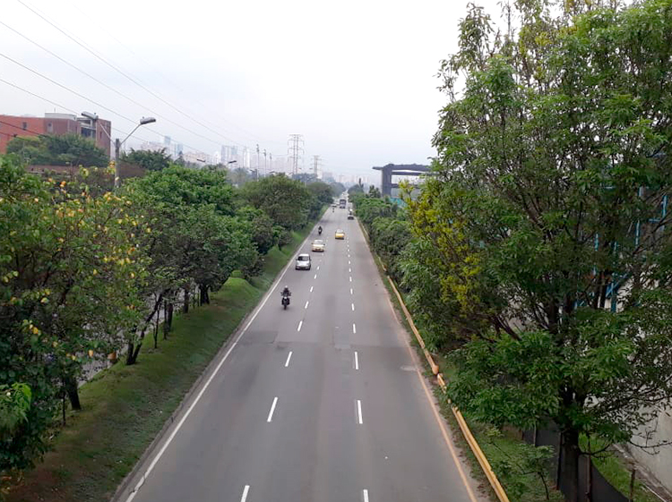 vehículos impuesto vehicular