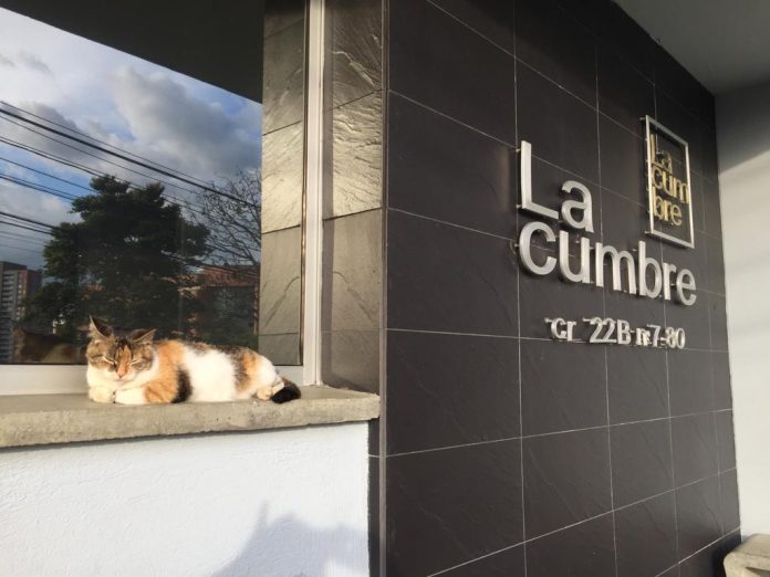 la-cumbre adopción