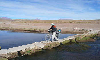 la vida en cicla