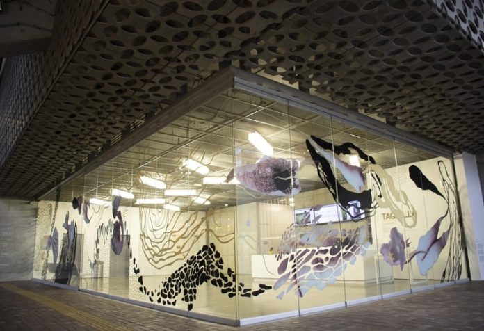 mamm-exposicion