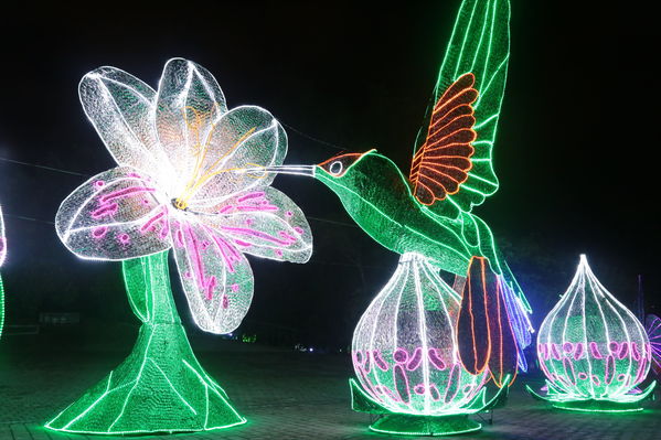 alumbrados-medellin Programación de navidad