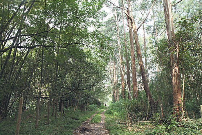parque-la-frontera