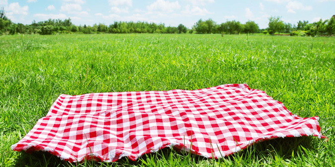 Picnic en Medellín Picnic en Medellín