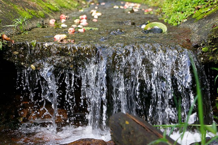 Quebradas que corren por El Poblado hasta el río MedellIn Quebradas que corren por El Poblado hasta el río MedellIn