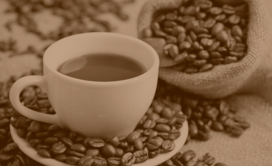 tbt Enamorados del café tbt Enamorados del café