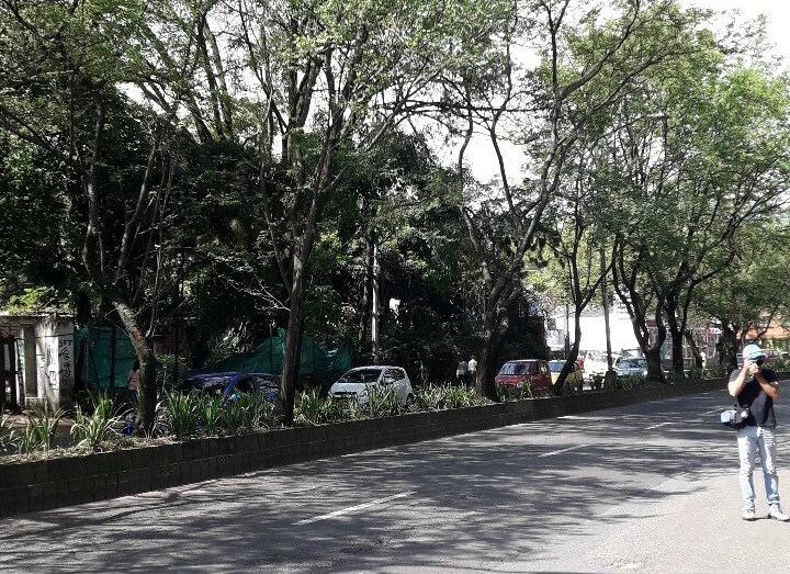 marcha pacífica por el Túnel Verde marcha pacífica por el Túnel Verde