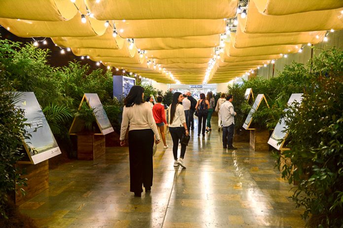Túnel verde en EL Tesoro El Tesoro