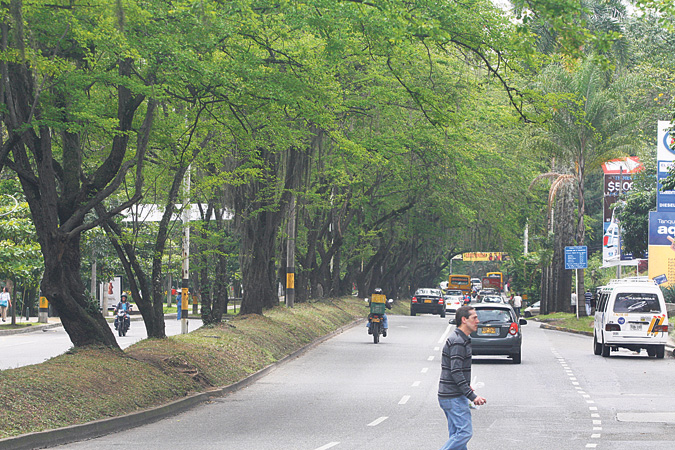 colectivo Túnel Verde colectivo Túnel Verde