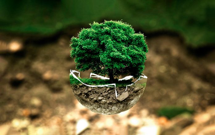 Consejos para vivir consciente Consejos para vivir consciente
