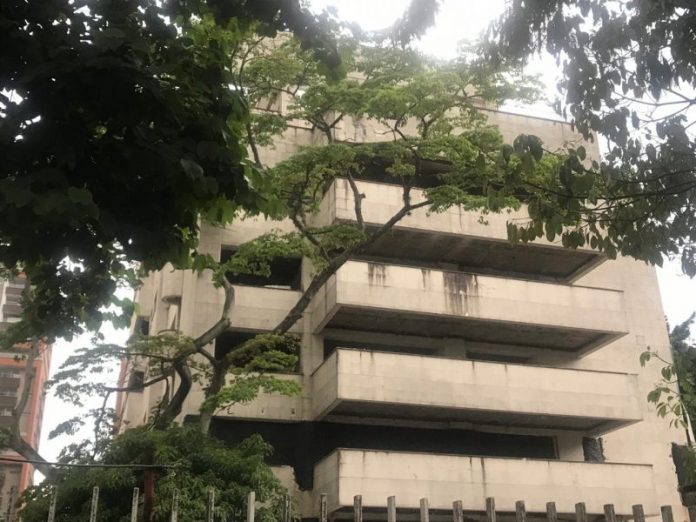Árboles del Edificio Mónaco 2 predio del Edificio Mónaco